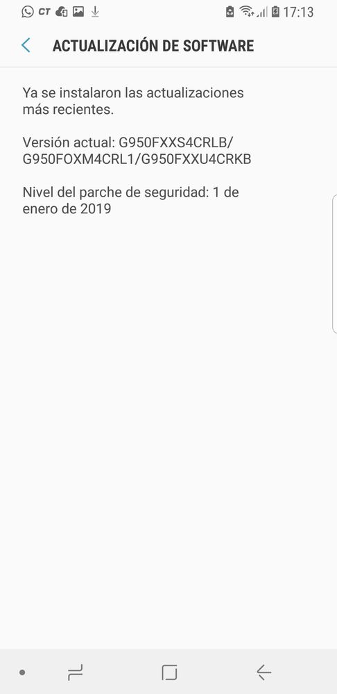 Screenshot_20190128-171317_Software update.jpg