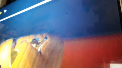 20190305_131427.jpg