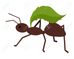 63506413-hormiga-marrón-con-la-hoja-verde-hoja-que-lleva-de-la-hormiga-icono-de-la-hormiga-hoja-de-retención-de-hor.jpg