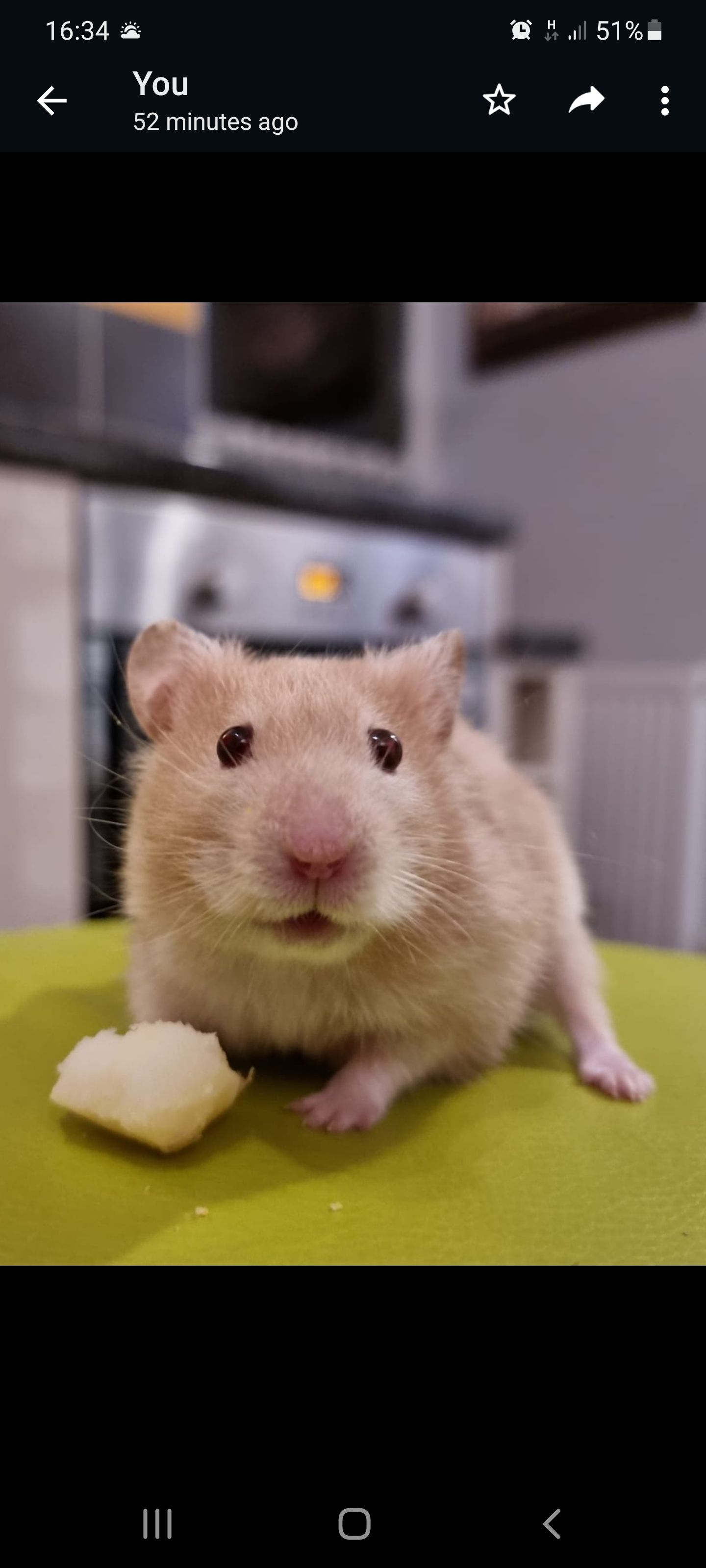 What The Hammy TV Leak Means For The Future