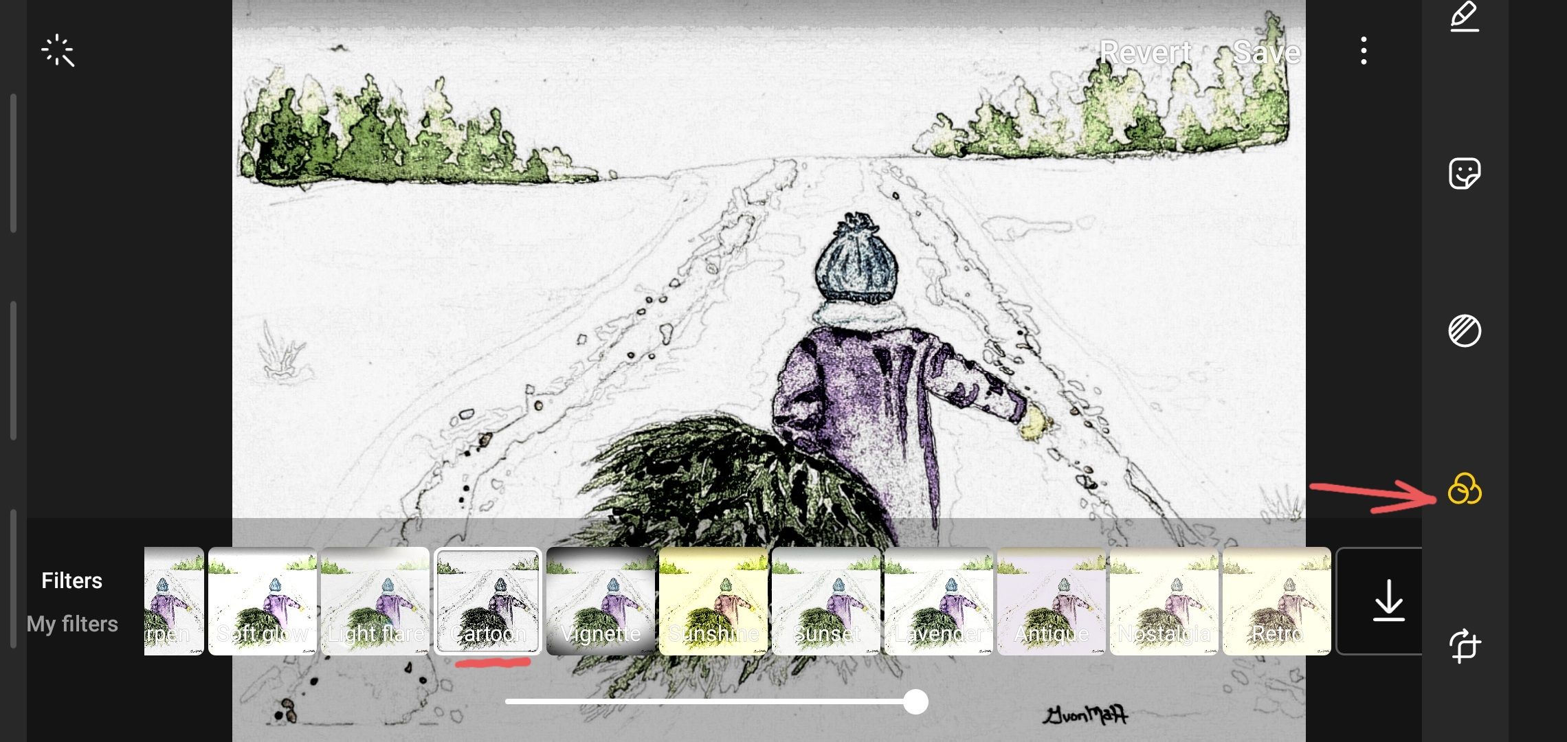 Filters and Styles of the Samsung editor, an artist