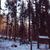 slawek99