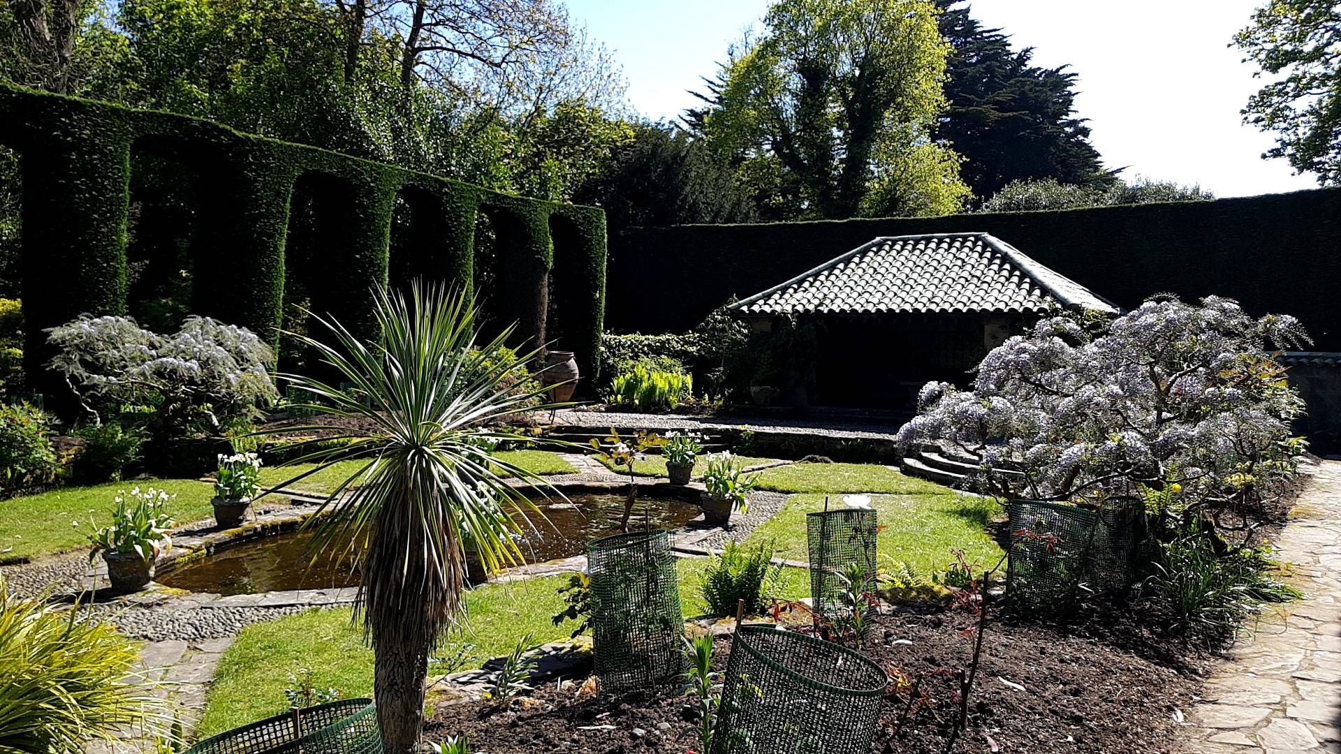 Garden Samsung Community