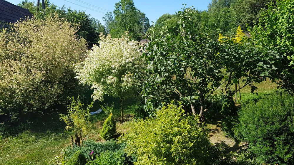 A to s8+,odpowiadające rzeczywistej scenerii