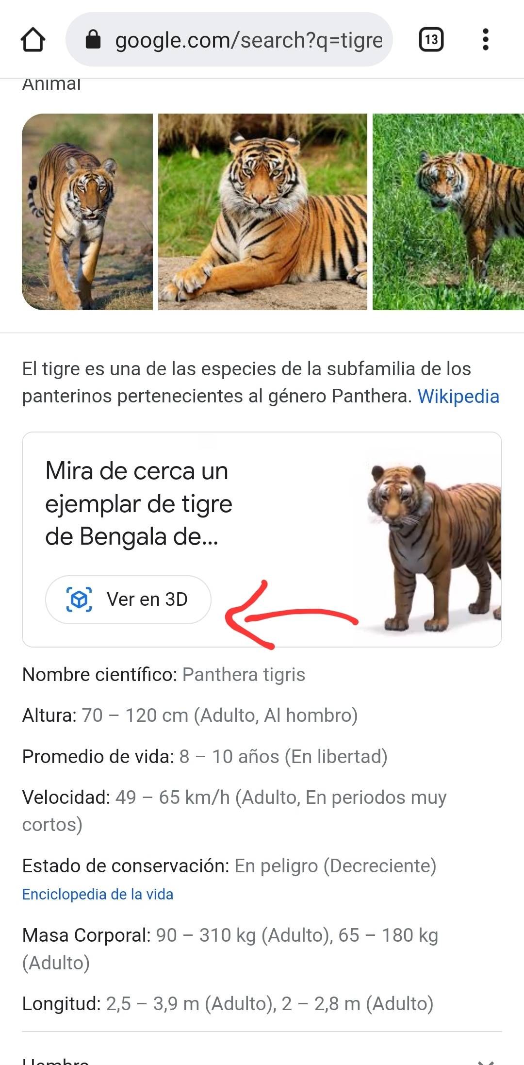 El truco de Google para ver animales 3D en casa