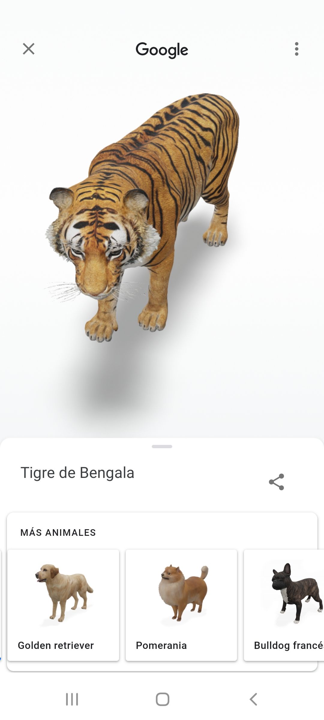Cómo usar el truco de Google para ver un tigre y otros animales en
