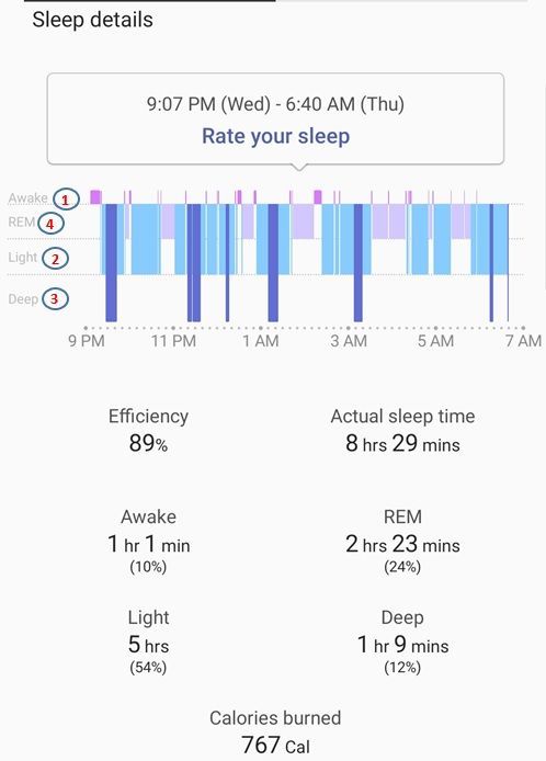 Stages of sleep.jpg