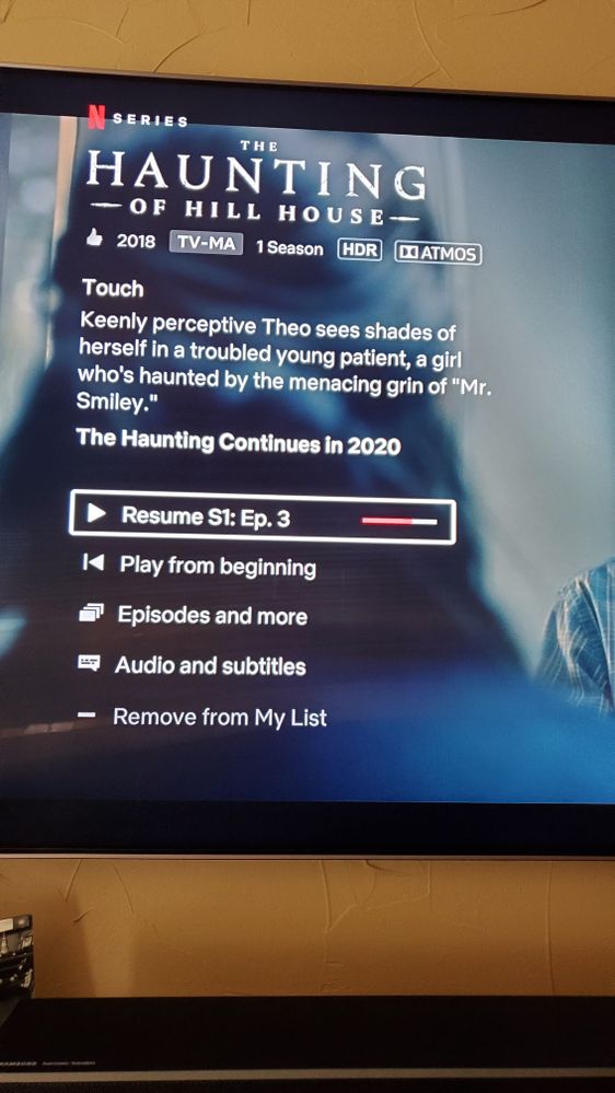 Native Netflix app showing Atmos