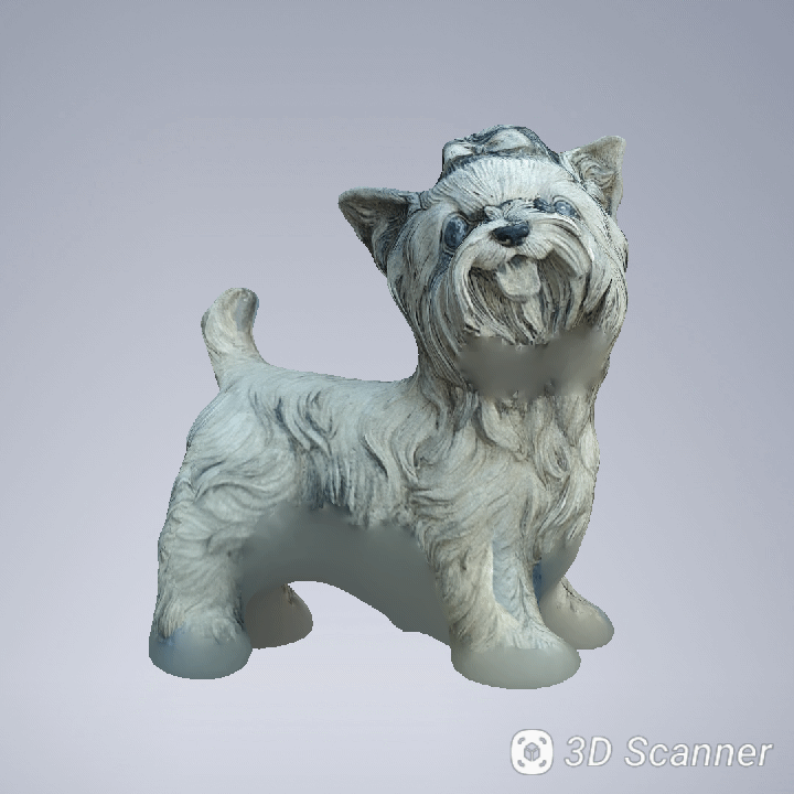 Gelöst: 3D Scanner - Wie? - Samsung Community