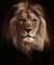 LION-